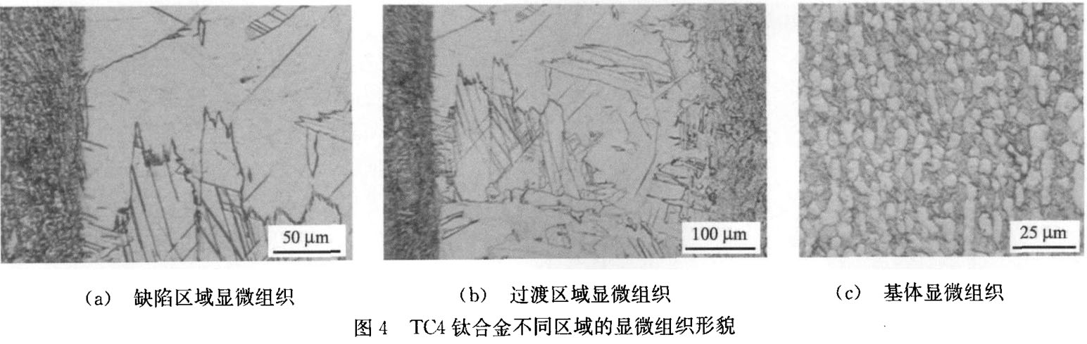 TC4鈦合金不同區域的顯微組織形貌