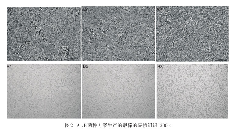 A 、B兩種方案生產(chǎn)的鍛棒的顯微組織